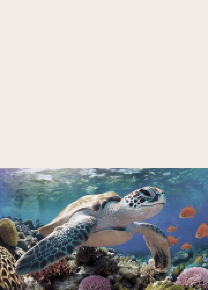LG OLED65B6SSA product feature