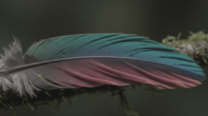 LG 50NU865BPSA product feature